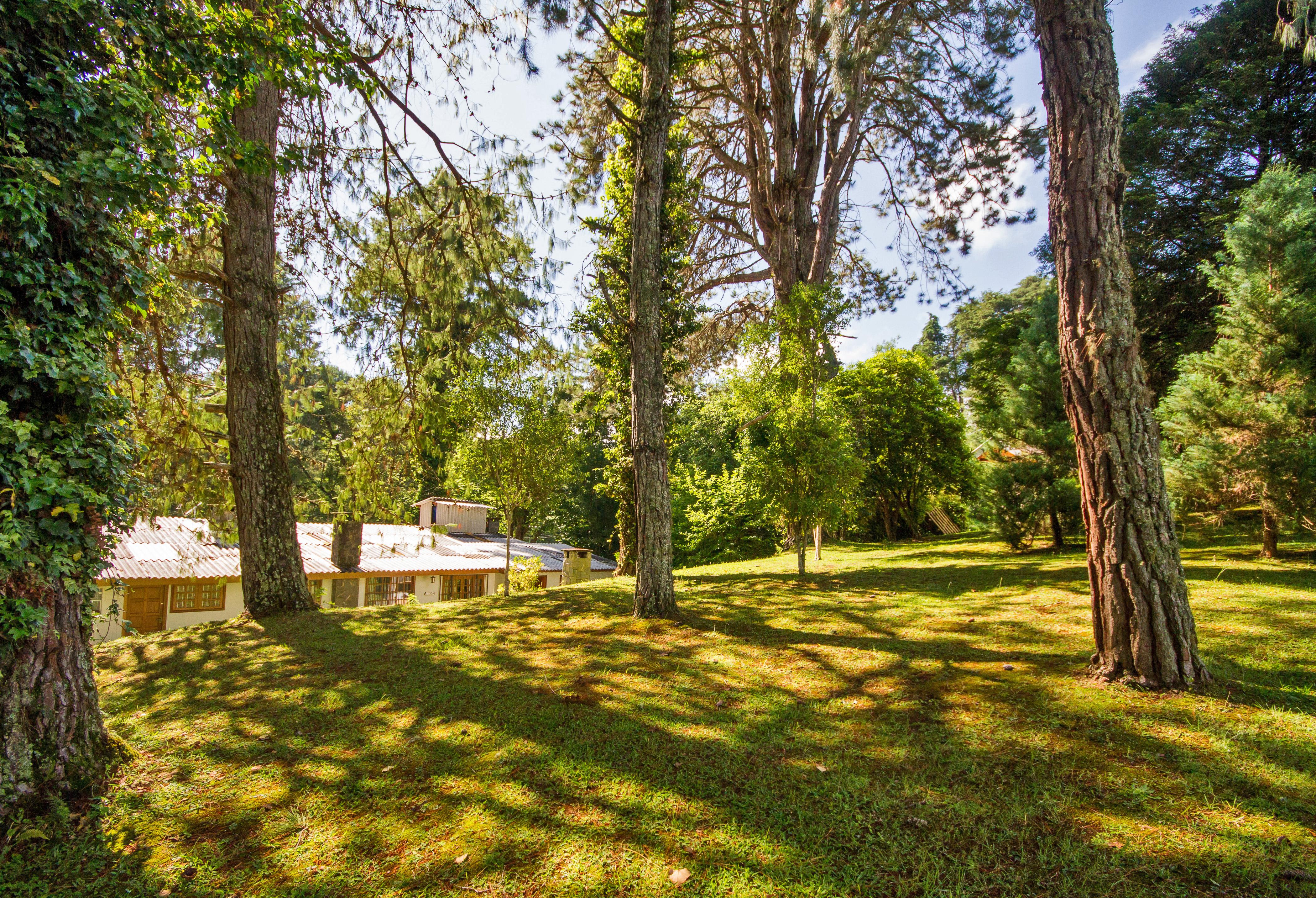Villa Vintage Campos - Piscina E Opcoes De Suites Com Hidromassagem Campos do Jordão エクステリア 写真